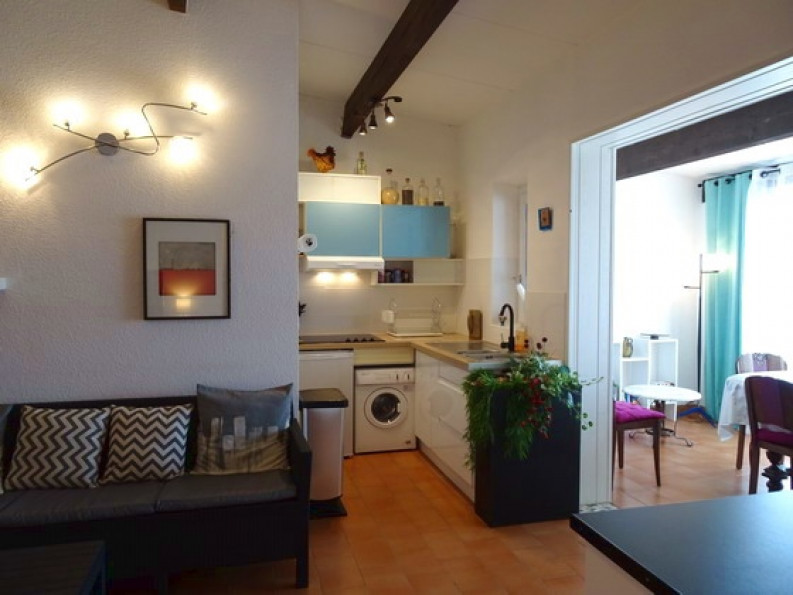 en location saisonnière Appartement Argeles Sur Mer - Photo 3