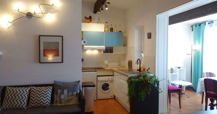 en location saisonnière Appartement Argeles Sur Mer