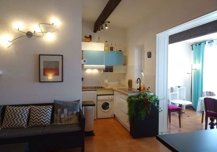 for seasonal lettings Appartement Argeles Sur Mer