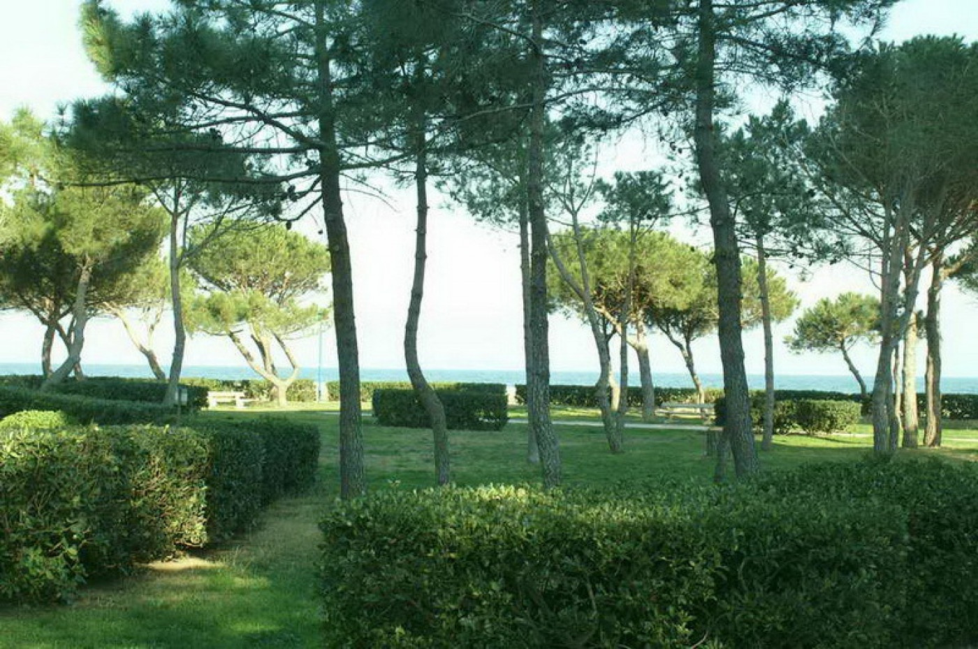 en location saisonnière Appartement Argeles Sur Mer - Photo 8