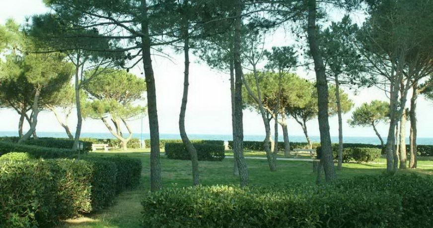 en location saisonnière Appartement Argeles Sur Mer