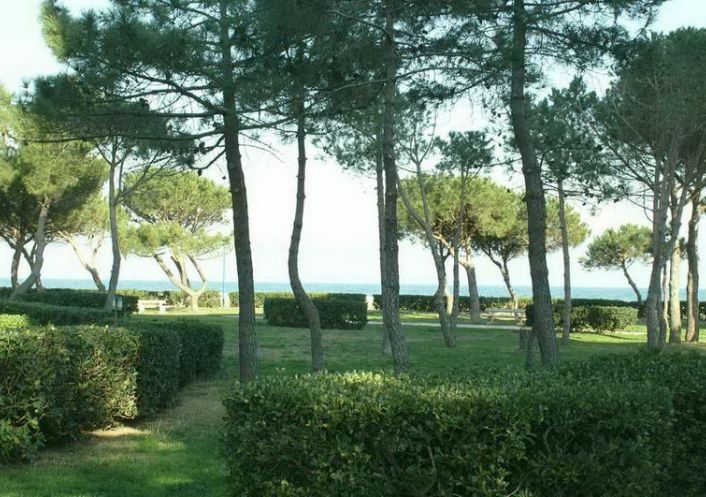 for seasonal lettings Appartement Argeles Sur Mer