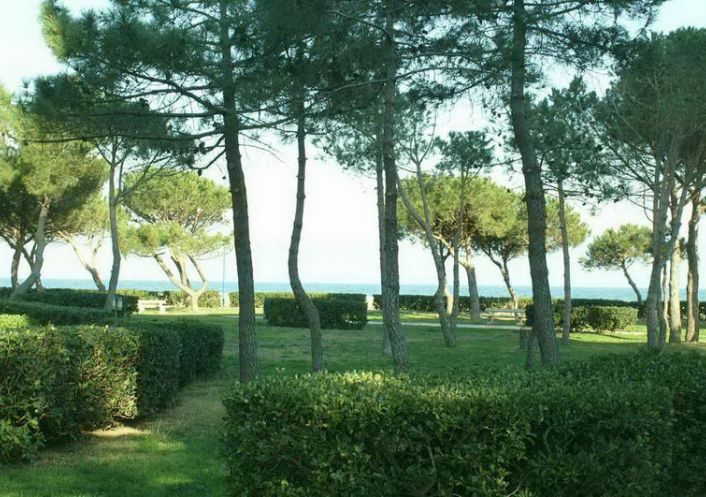 en location saisonnière Appartement Argeles Sur Mer