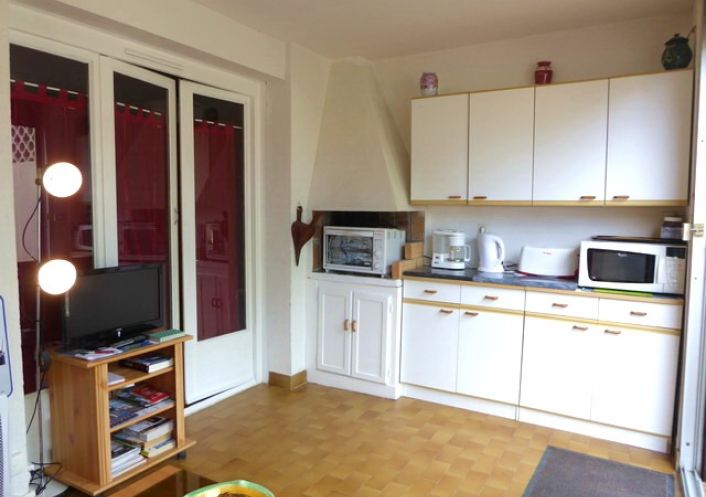 for seasonal lettings Appartement Argeles Sur Mer