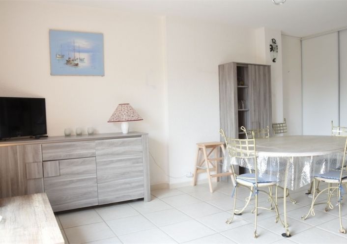for seasonal lettings Appartement Argeles Sur Mer