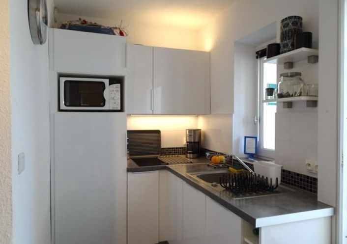 en location saisonnière Appartement Argeles Sur Mer