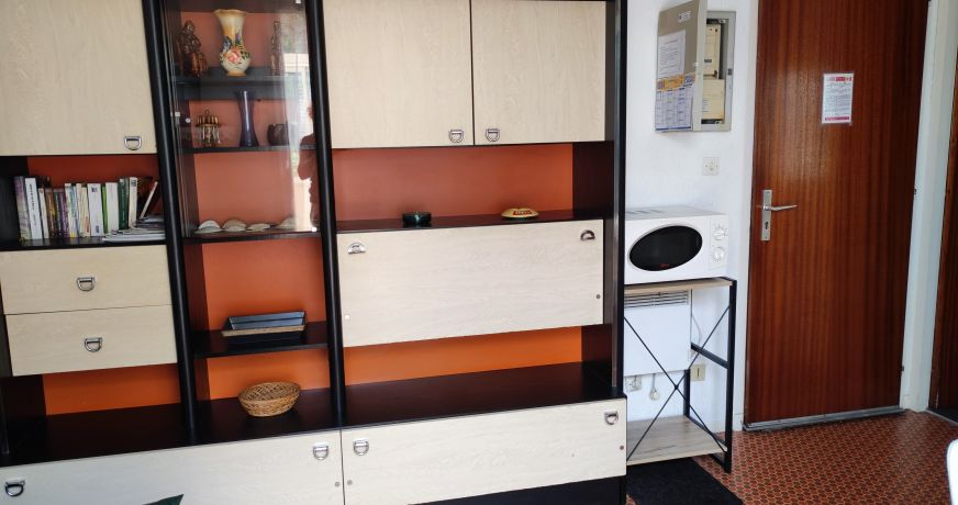 en location saisonnière Appartement Argeles Sur Mer