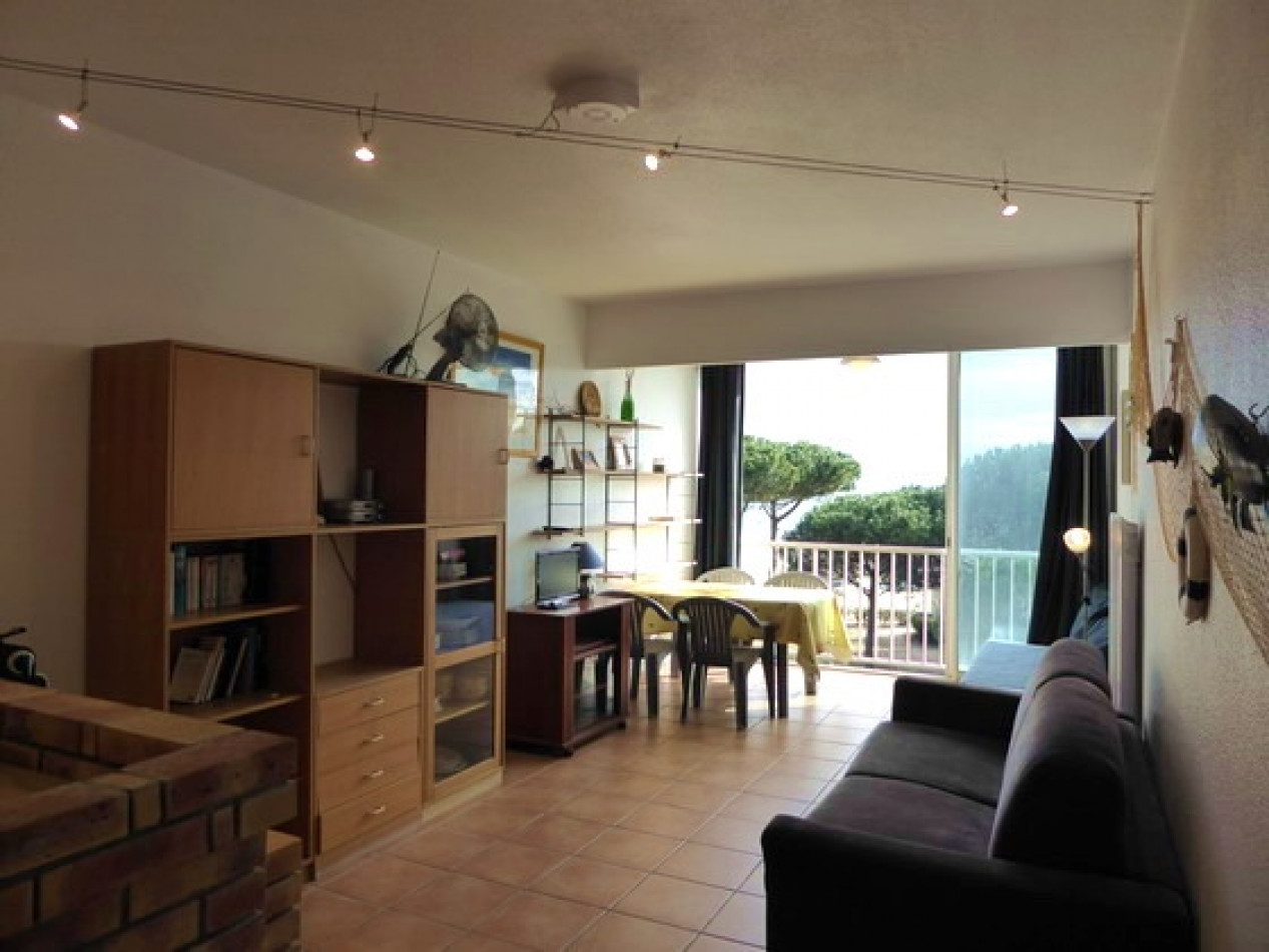 en location saisonnière Appartement Argeles Sur Mer - Photo 5