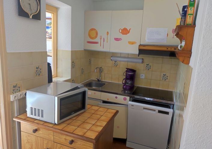 for seasonal lettings Appartement Argeles Sur Mer