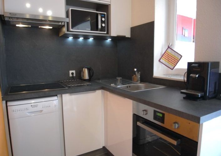 for seasonal lettings Appartement Argeles Sur Mer