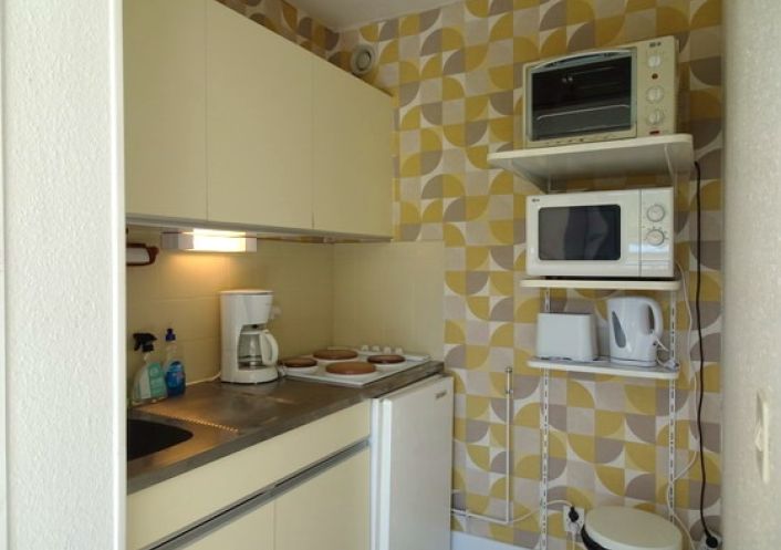 for seasonal lettings Appartement Argeles Sur Mer