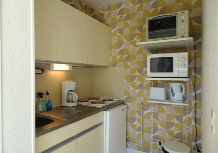 en location saisonnière Appartement Argeles Sur Mer