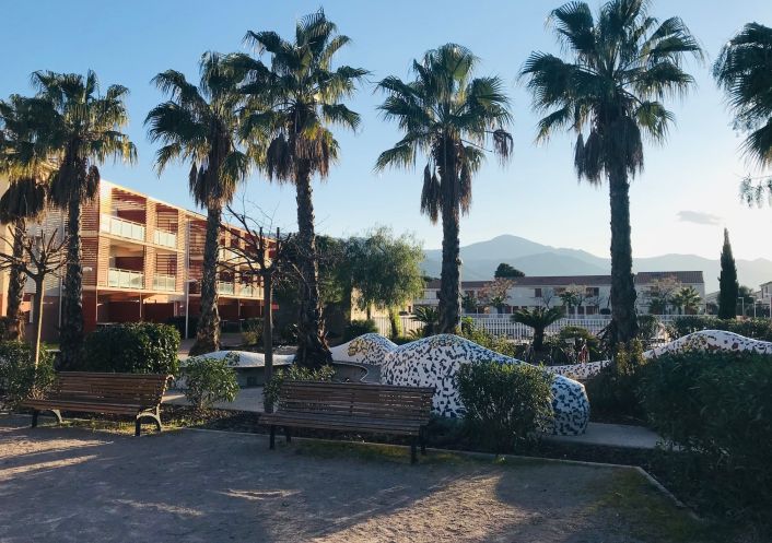 for seasonal lettings Appartement Argeles Sur Mer