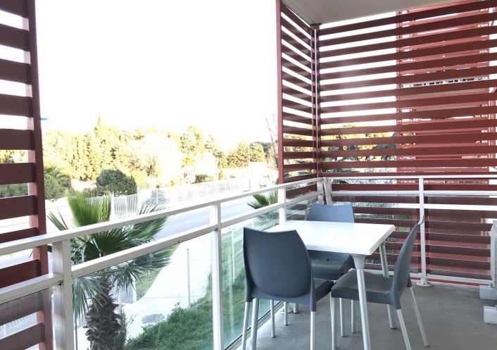 for seasonal lettings Appartement Argeles Sur Mer