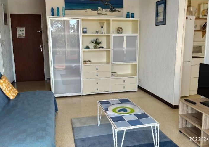 for seasonal lettings Appartement Argeles Sur Mer