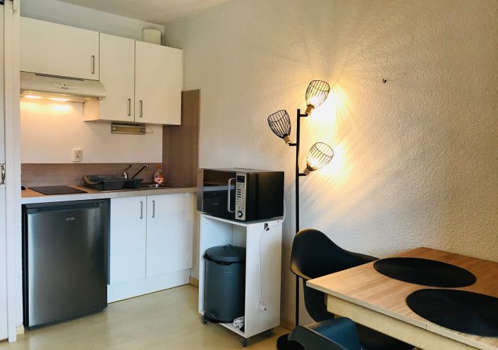 en location saisonnière Appartement Argeles Sur Mer