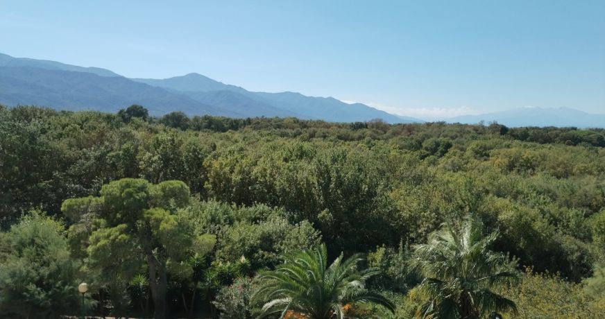 en location saisonnière Appartement Argeles Sur Mer