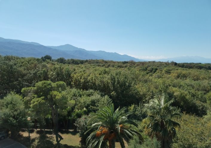 en location saisonnière Appartement Argeles Sur Mer