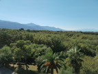 en location saisonnière Appartement Argeles Sur Mer