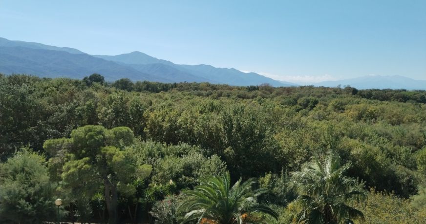 en location saisonnière Appartement Argeles Sur Mer