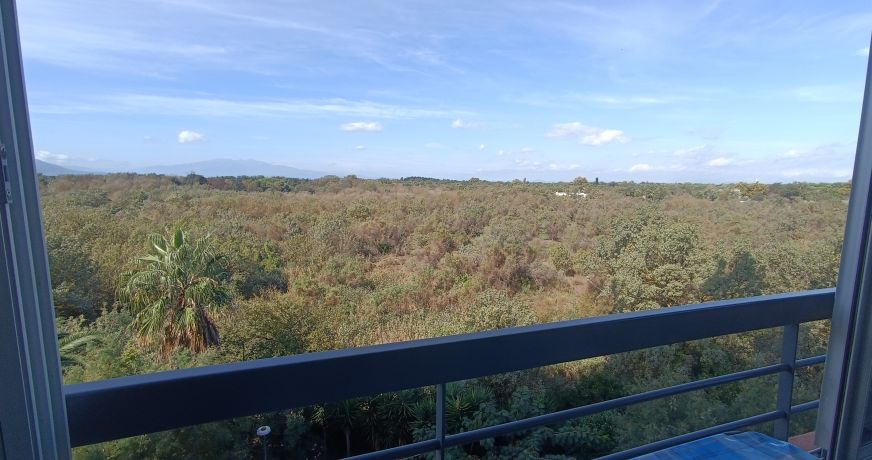 en location saisonnière Appartement Argeles Sur Mer