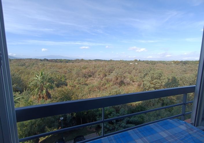 en location saisonnière Appartement Argeles Sur Mer