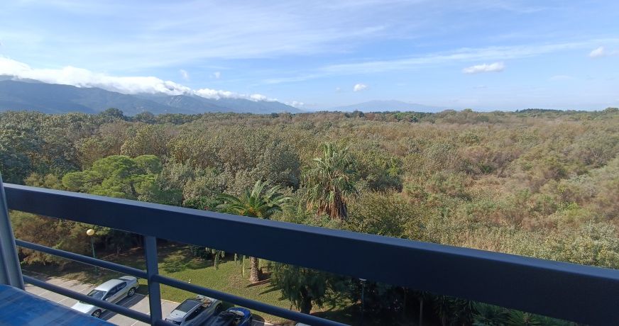 en location saisonnière Appartement Argeles Sur Mer