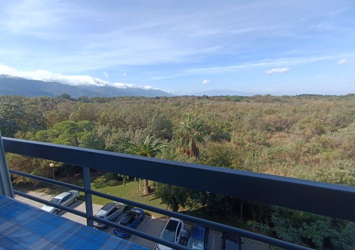 en location saisonnière Appartement Argeles Sur Mer