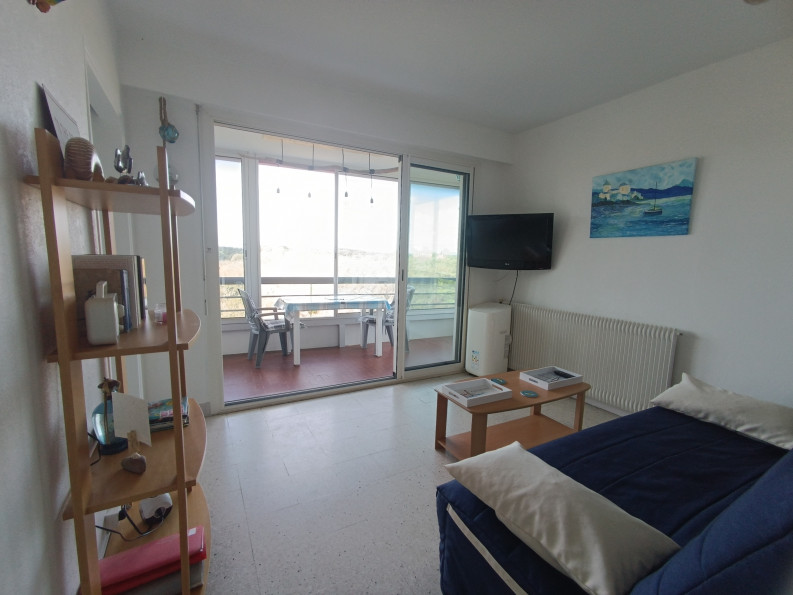 en location saisonnière Appartement Argeles Sur Mer - Photo 7