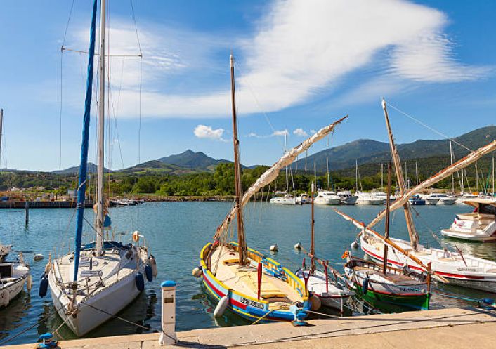 for seasonal lettings Appartement Argeles Sur Mer