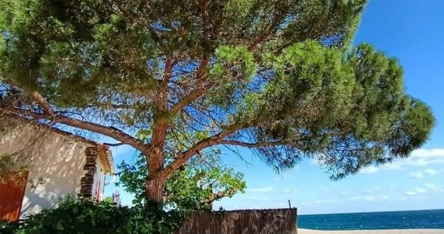 en location saisonnière Villa Argeles Sur Mer