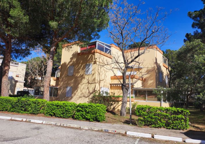 for seasonal lettings Appartement Argeles Sur Mer