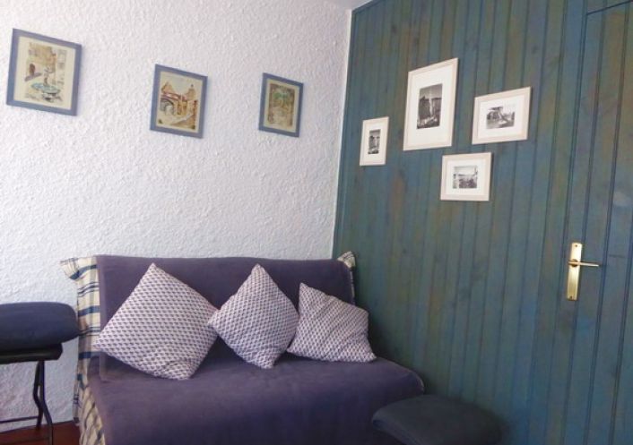 for seasonal lettings Appartement Argeles Sur Mer