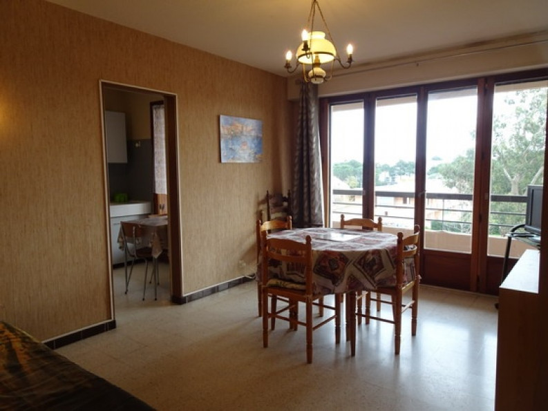 en location saisonnière Appartement Argeles Sur Mer - Photo 6