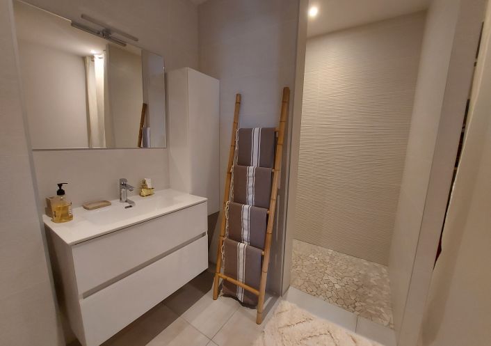 for seasonal lettings Appartement Saint Cyprien