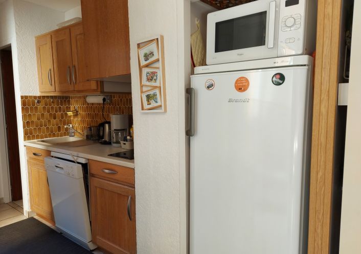 for seasonal lettings Appartement Argeles Sur Mer