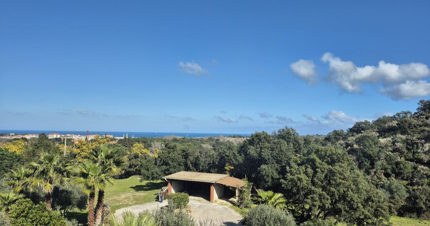 en location saisonnière Appartement Argeles Sur Mer