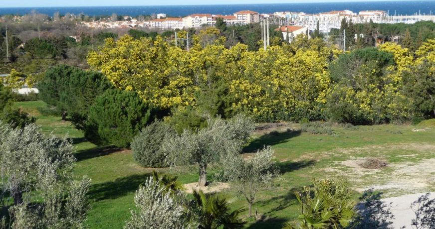 en location saisonnière Appartement Argeles Sur Mer