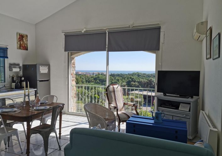 for seasonal lettings Appartement Argeles Sur Mer