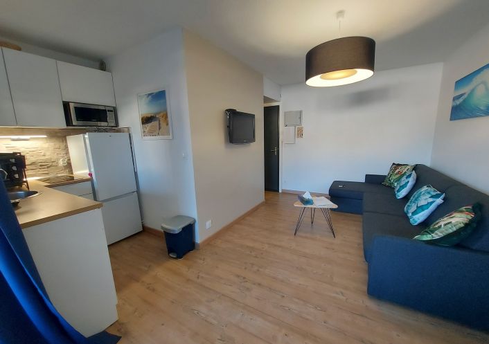 for seasonal lettings Appartement Argeles Sur Mer