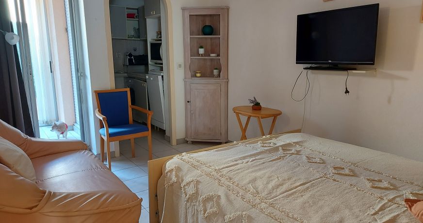 en location saisonnière Appartement Argeles Sur Mer