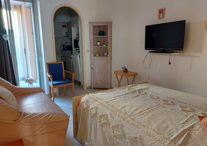 en location saisonnière Appartement Argeles Sur Mer