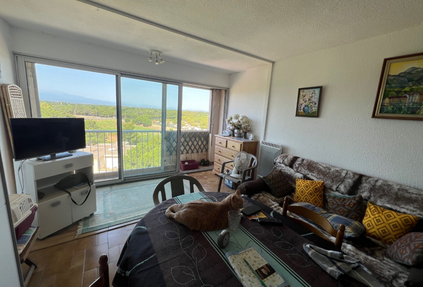vente Appartement Argeles Sur Mer - Photo 2