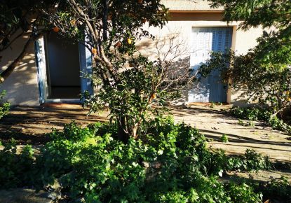 vente Appartement Sorede