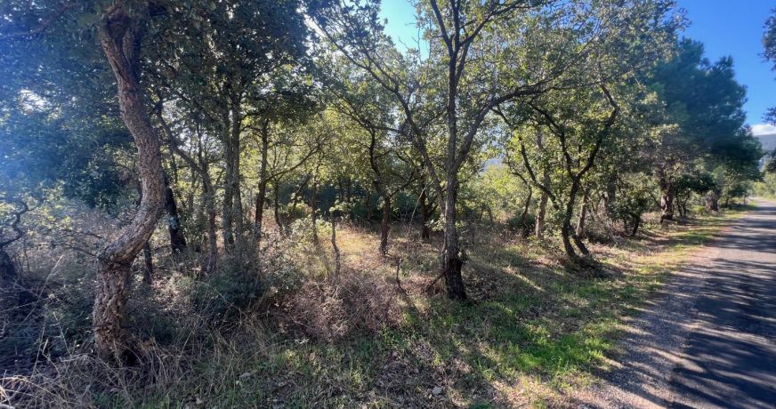 vente Terrain Argeles Sur Mer