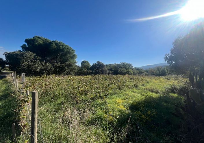 à vendre Terrain Argeles Sur Mer