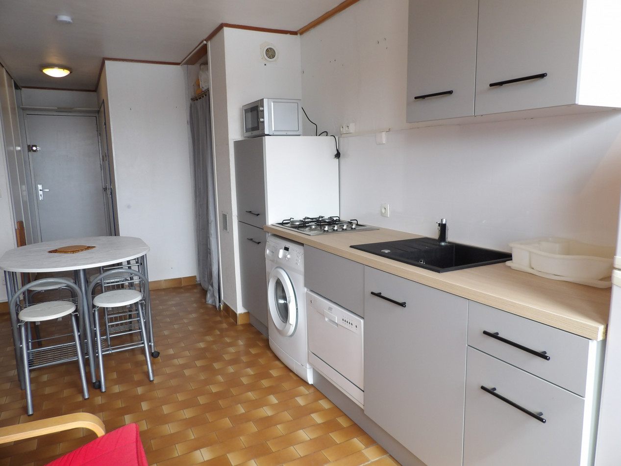 en location saisonnière Appartement Saint Cyprien - Photo 1