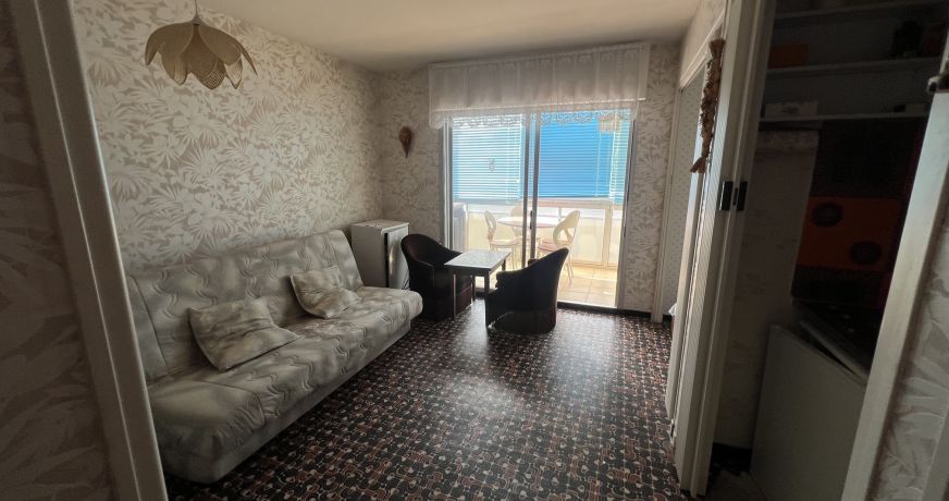 en location saisonnière Appartement Argeles Sur Mer