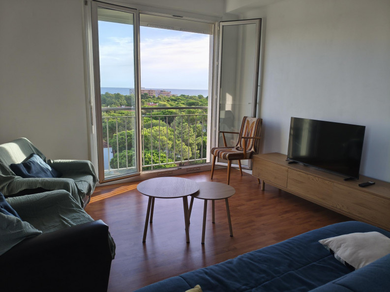 en location saisonnière Appartement Argeles Sur Mer - Photo 1