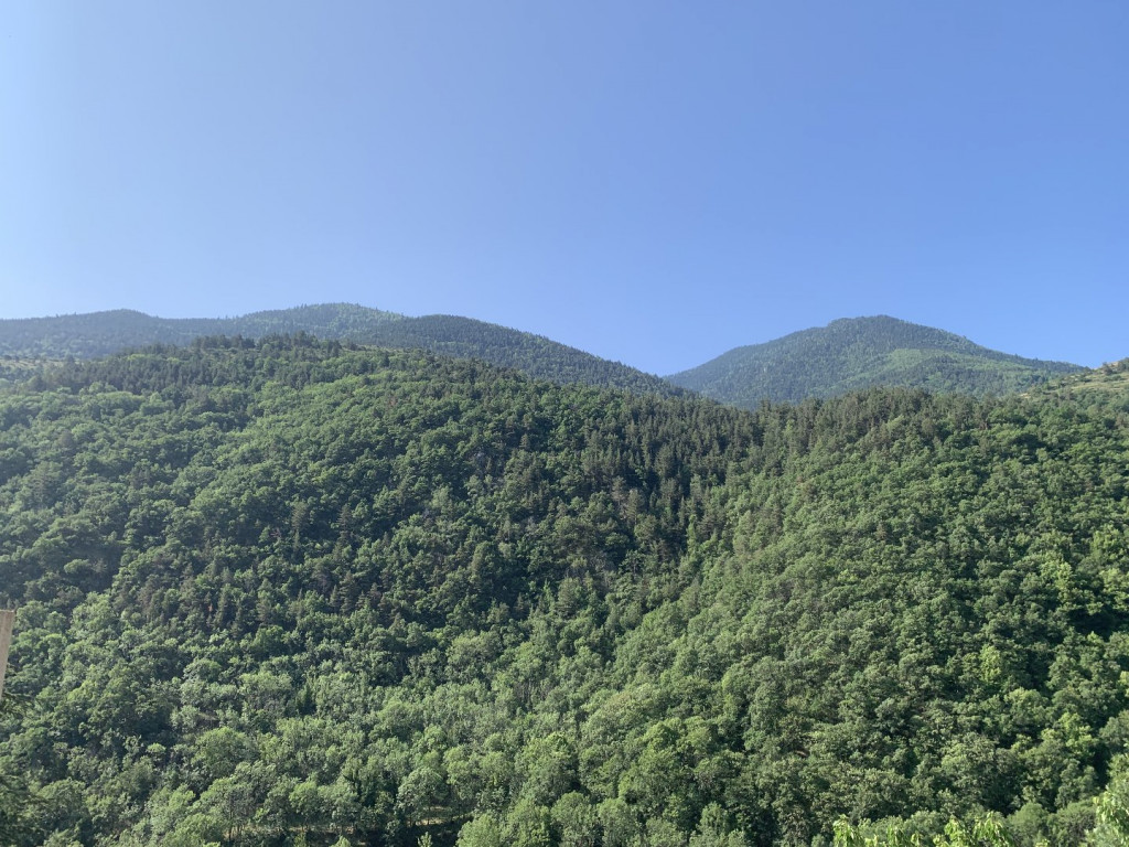 vente Maison Fontpedrouse - Photo 8